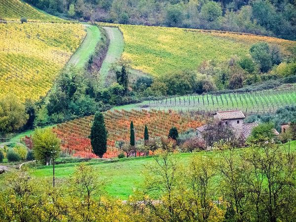 Eggers, Julie 아티스트의 Italy-Tuscany View of the Tuscan countryside작품입니다.